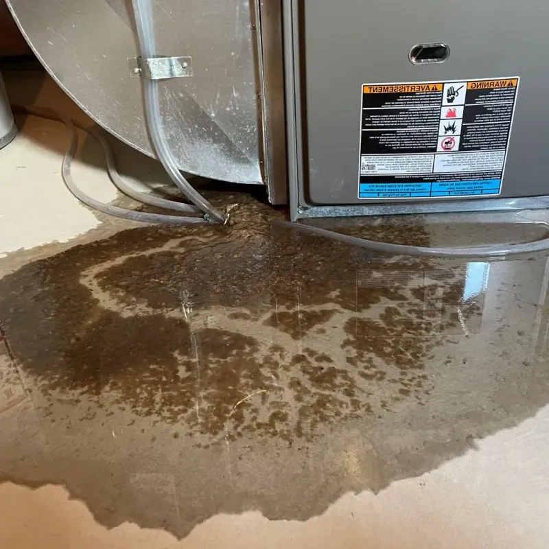 Pipe Burst and Leak Restoration in West Reading, PA