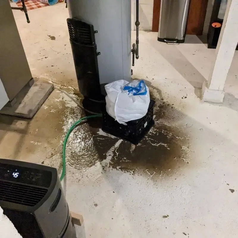 Sewage Backup Cleanup Service in West Reading, PA